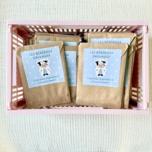 Bébébous mystères "Animaux"