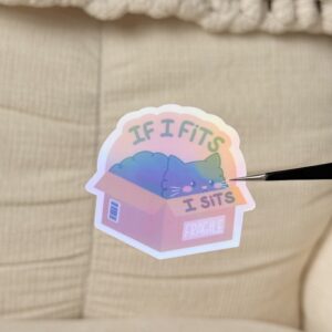 Stickers If I fits, I sits